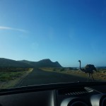 cape of good hope, South-Africa